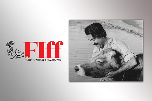 نمایش فیلم دیده نشده از پشت‌صحنه و تست بازیگری فیلم «گاو» در جشنواره جهانی فیلم فجر